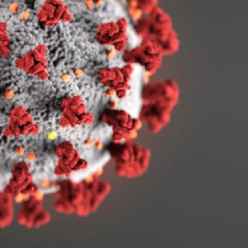 Covid 19 virus - An update from Carpet Innovations in Denver, CO